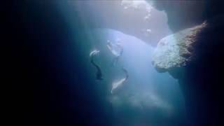 Tribal Seeds - Empress (Music Video)