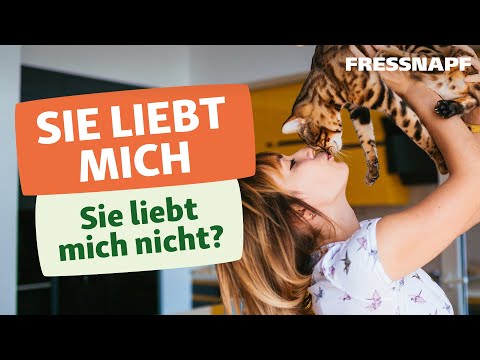 Wie Katzen Liebe zeigen: 10 Zeichen der Katzenliebe