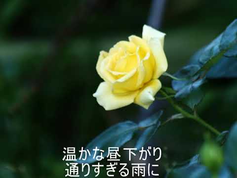さよならをするために のサムネイル