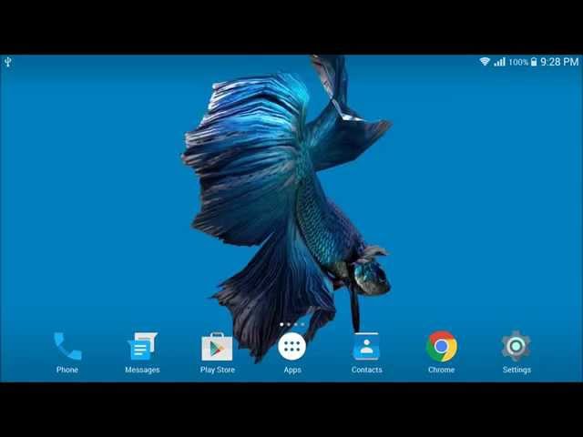 Betta Fish 3D Live Wallpaper