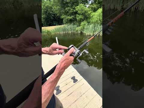 How to cast an Abu Ambassadeur and other round bait casting fishing reels