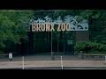 Bronx Zoo Worker Bitten By Crocodile