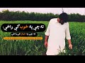 Ta Che Pa Khob Ke Razay_ته چې په خوب کې راځې - Ijaz Ufaq (Lyrics)