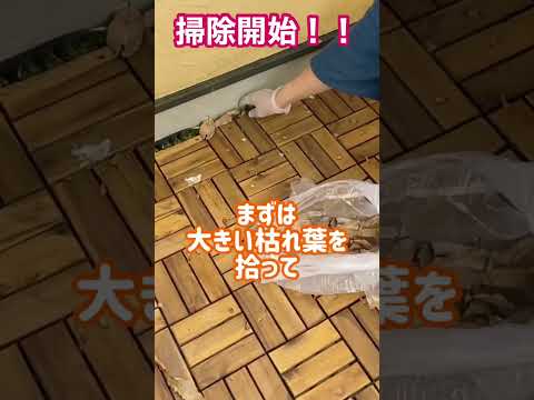 粗塩で木製テラスを掃除 2022