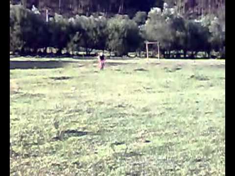 marcel cascadorul de la surduc