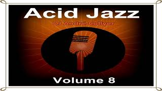 Acid Jazz, Lounge, R&B and Chillout mix by DJ André Collyer Vol 8