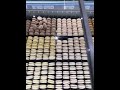 Healthy Vs Guilty Pleasure Food Taste Test