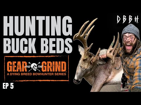 Hunting Buck Beds | Gear & The Grind Ep 5 (When & How I Hunt a Buck’s Bed)