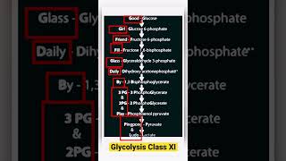respiration in plants class 11 | glycolysis cycle in hindi #shorts