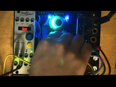 Infinite Digits x Toadstool Tech Ectocore - Blue or Black | Reverb