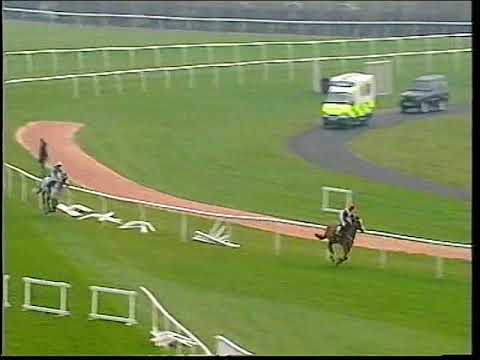 2004 Martell Foxhunters' Chase  Forest Gunner