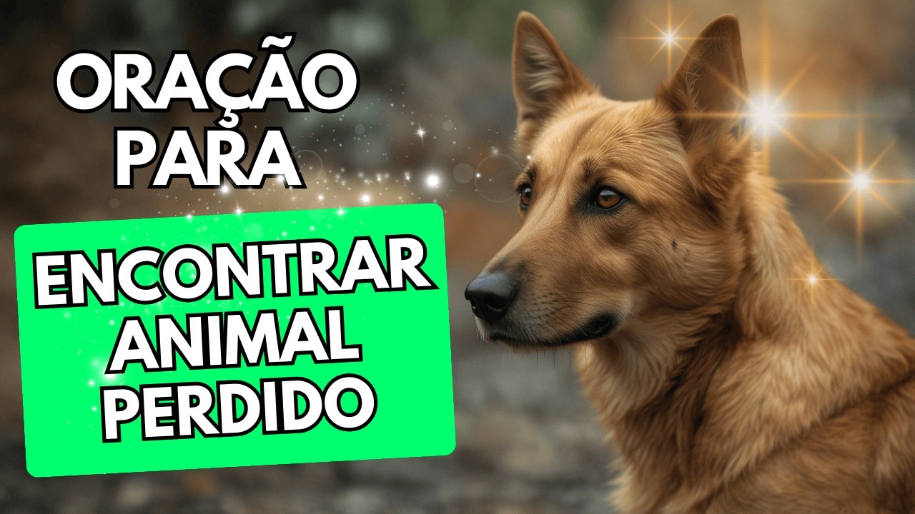 PRAYER TO FIND THE LOST ANIMAL - Benza Comigo!