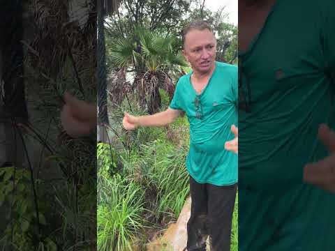 Chuva boa na região de Batalha Piauí…. #viraliza #piaui #chuva