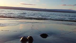 Down the shore from my house