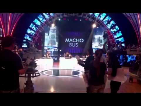 Momento de Macho Bus