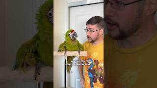 The Bird of Absolute Certainty and Agreement!