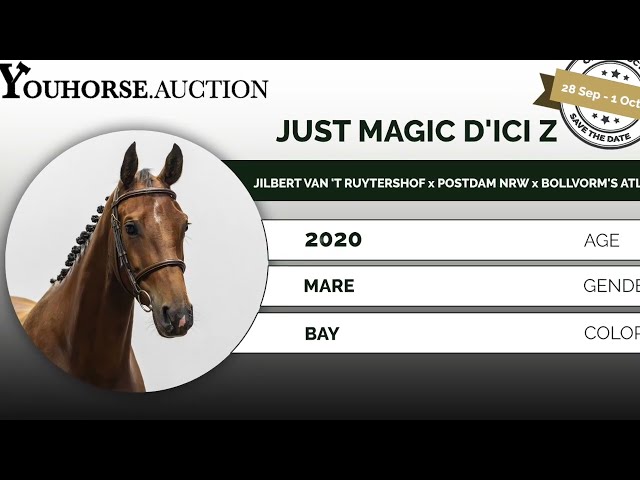 Just Magic trainingsvideo
