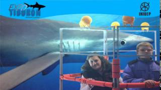 DIA 2 Expo Tiburon244