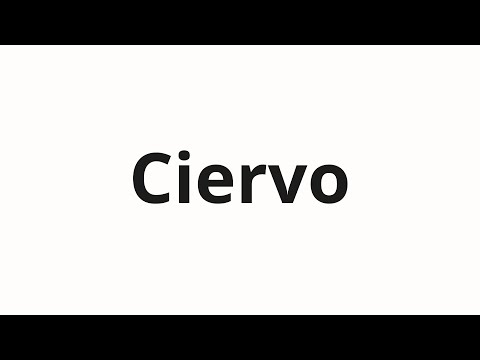 How to pronounce Ciervo