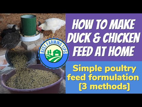 , title : 'How to make duck & chicken feed at home: Simple poultry feed formulation [3 methods]'