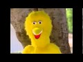 HebrewTshirts Sesame Street Mad TV