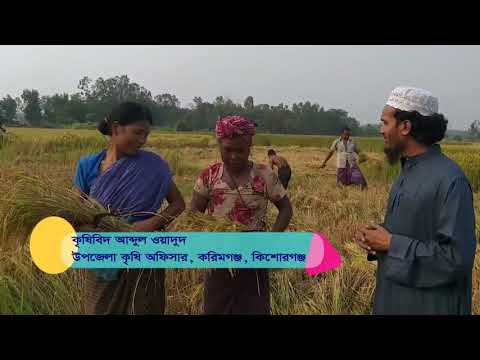 নবান্নের শুরুতে কৃষকের সাথে কিছুটা সময়ঃ ভাল লাগার অনুভূতি