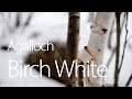 Agalloch - Birch White 