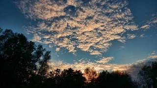Download lagu Tom Rosenthal - Going To Be Wonderful mp3