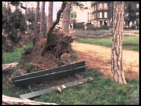 Périssable paradis (2002) by Gérard Courant