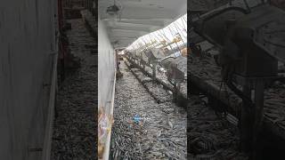 Download lagu How do squid fishing boats work? mp3