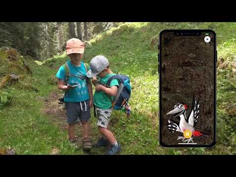 Glarner Waldperlen