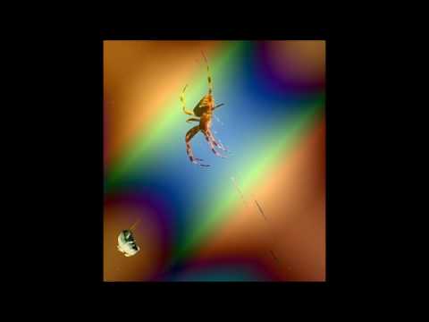 SnowSlip - Spiders 001 (instrumental)