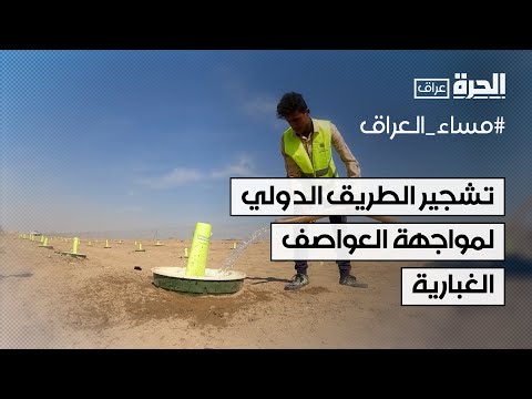 فيديو | العراق.. تشجير الطريق الدولي لمواجهة العواصف الغبارية