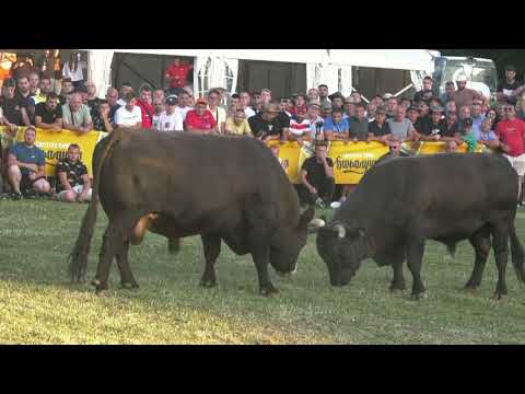 GARONJA Tubići i JELENKO Boki Tanasić, LISKOVICA 2025