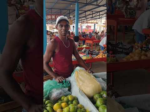 FEIRA DE SANTA INÊS BAHIA #shorts #feira #santainês #bahia #turismo #entretenimento #alegria