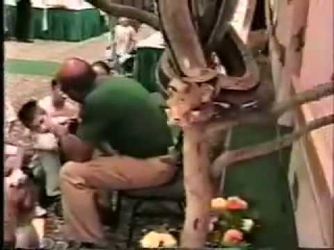 YouTube Video 2B8M0oLNMb8