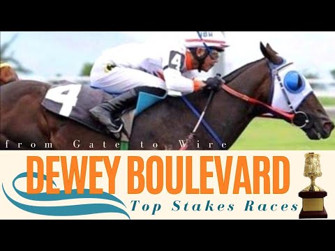 DEWEY BOULEVARD | TOP STAKES RACES