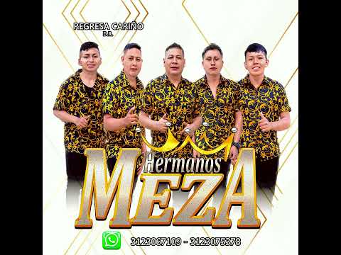 LOS HERMANOS MEZA Regresa Cariño AUDIO OFICIAL ✓(2024)