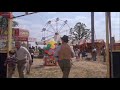 Sesame Street Follow That Bird Stealing A Kid S Apple