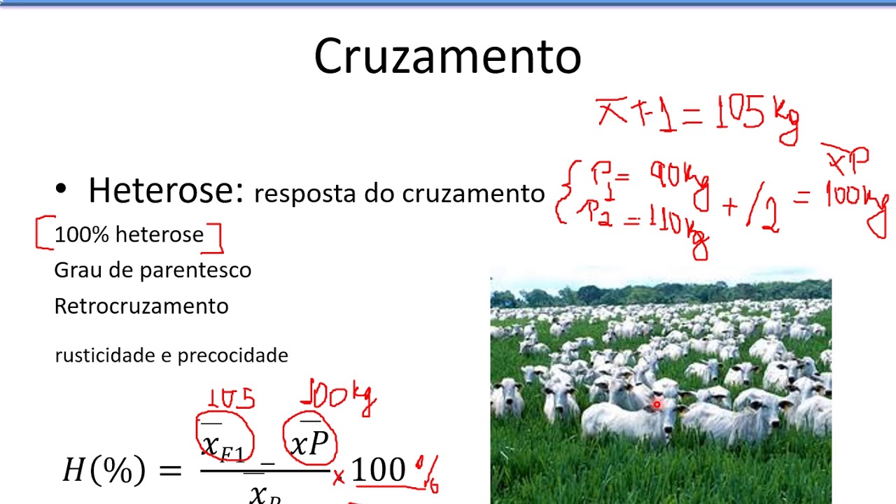 Cruzamento e Acasalamento