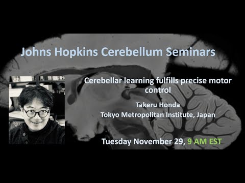 Takeru Honda: Cerebellar learning fulfills precise motor control
