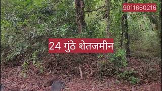 रत्नागिरी येथे तुमच्या बजेट मधील प्रॉपर्टी...#property #investment #realestate #realestateagent