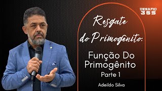 Resgate do Primogênito | Aula 5 - Função do Primogênito - Parte 1 | DESAFIO 365 | #41