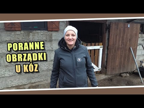 , title : 'Poranne obrządki u kóz 🐐'