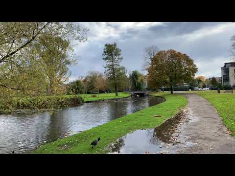 Autumn 2020 | Rozenburg Park | Rotterdam | The Netherlands