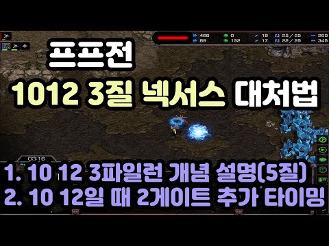 [Protoss Guide] Handling 3 Hatcheries Nexus in PvZ (Concept Explanation)