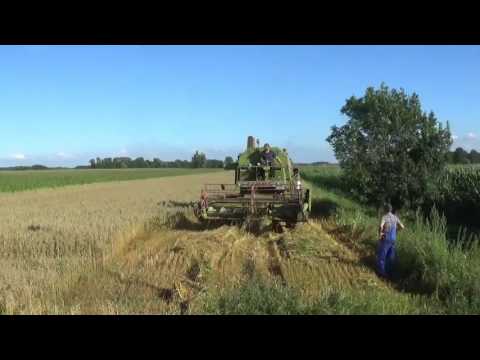 Landb. Van Deynze - Ursel - maaidorsern - Claas Senator