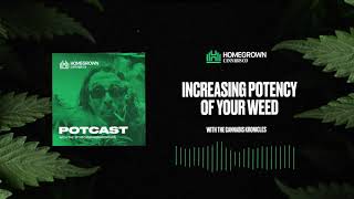 How To Increase The Potency Of Your Weed | Homegrown Cannabis Co.