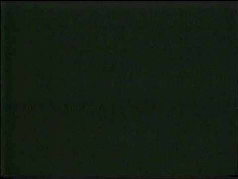 Bob Paris,Vince Brown,Brian Buchanan,Tom Platz