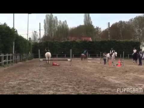 Cours du 21/04 Saut- Chute Avec praline +saut avec Jeffie